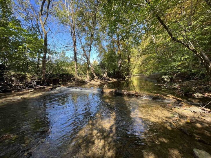 8 Best Hikes Near Kingsport, TN • Take Me to Tennessee