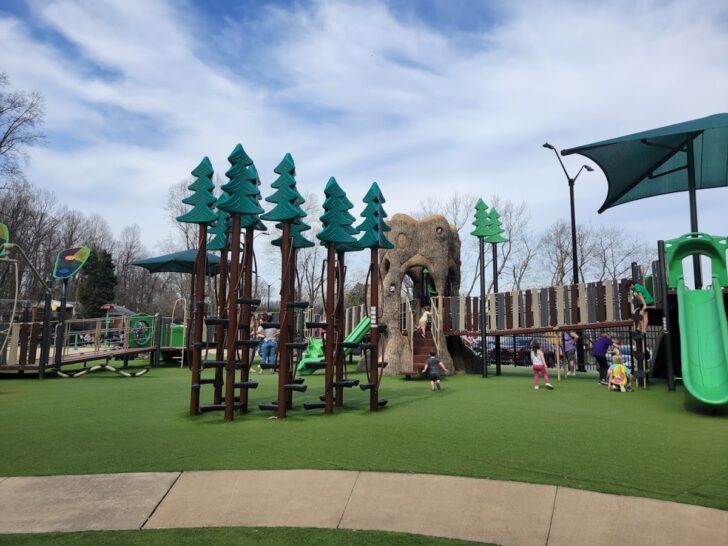 9 Best Parks in Johnson City Perfect for Outdoor Activities