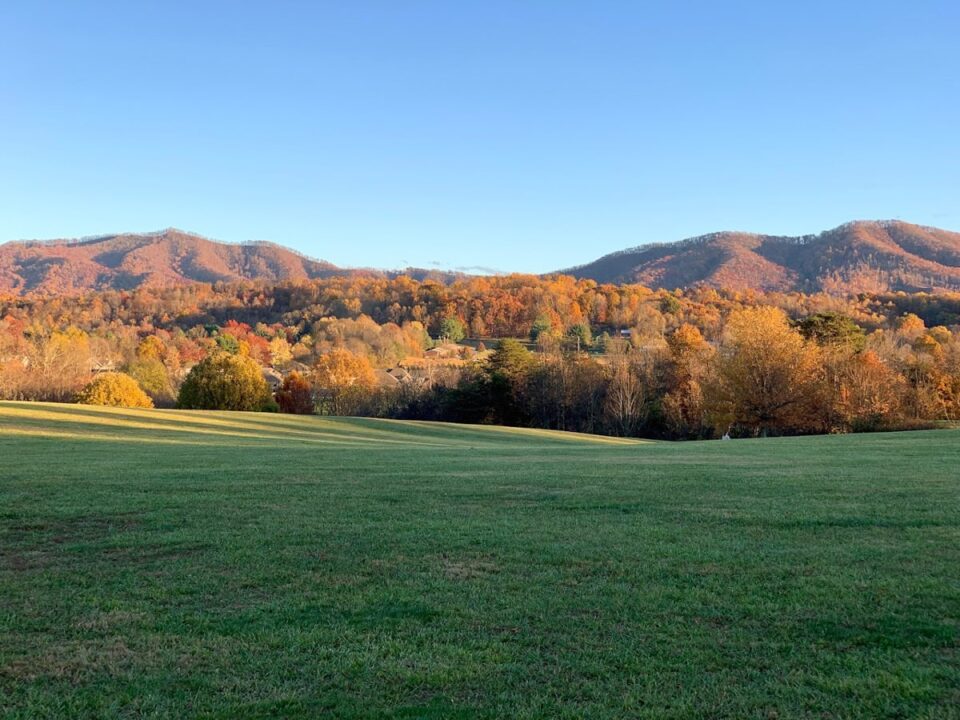 9 Best Parks in Johnson City Perfect for Outdoor Activities