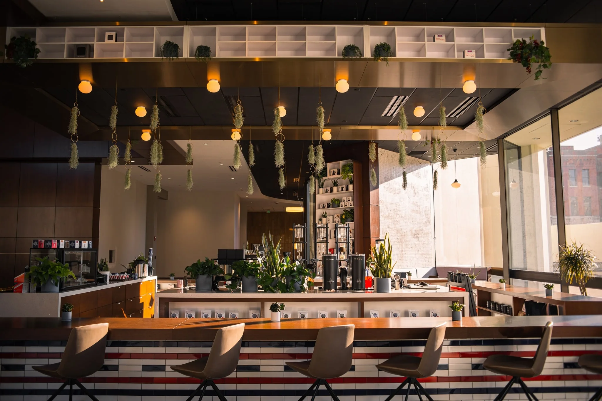 interior of Barista Parlor coffee shop in nashville tn with plants and large windows