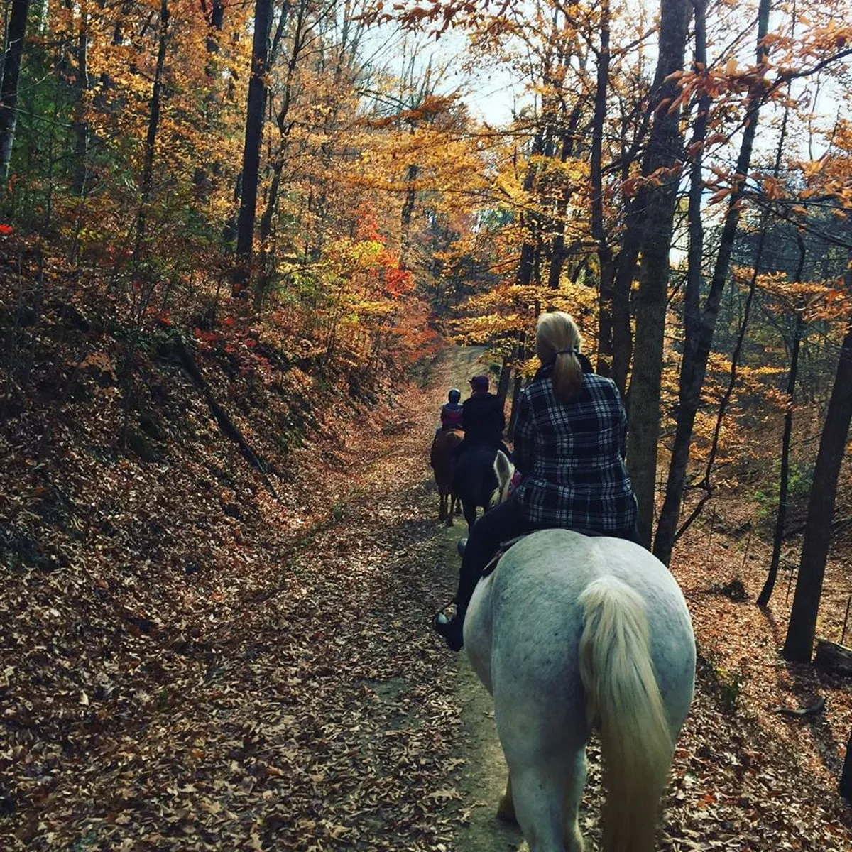 people riding horses through the smoky mountains in fall 
