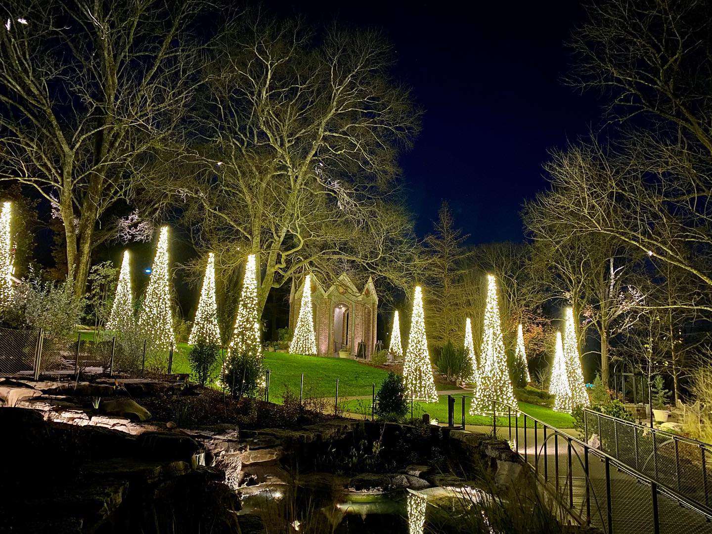 a row of trees lit up for christmas at cheekwood estate and gardens 