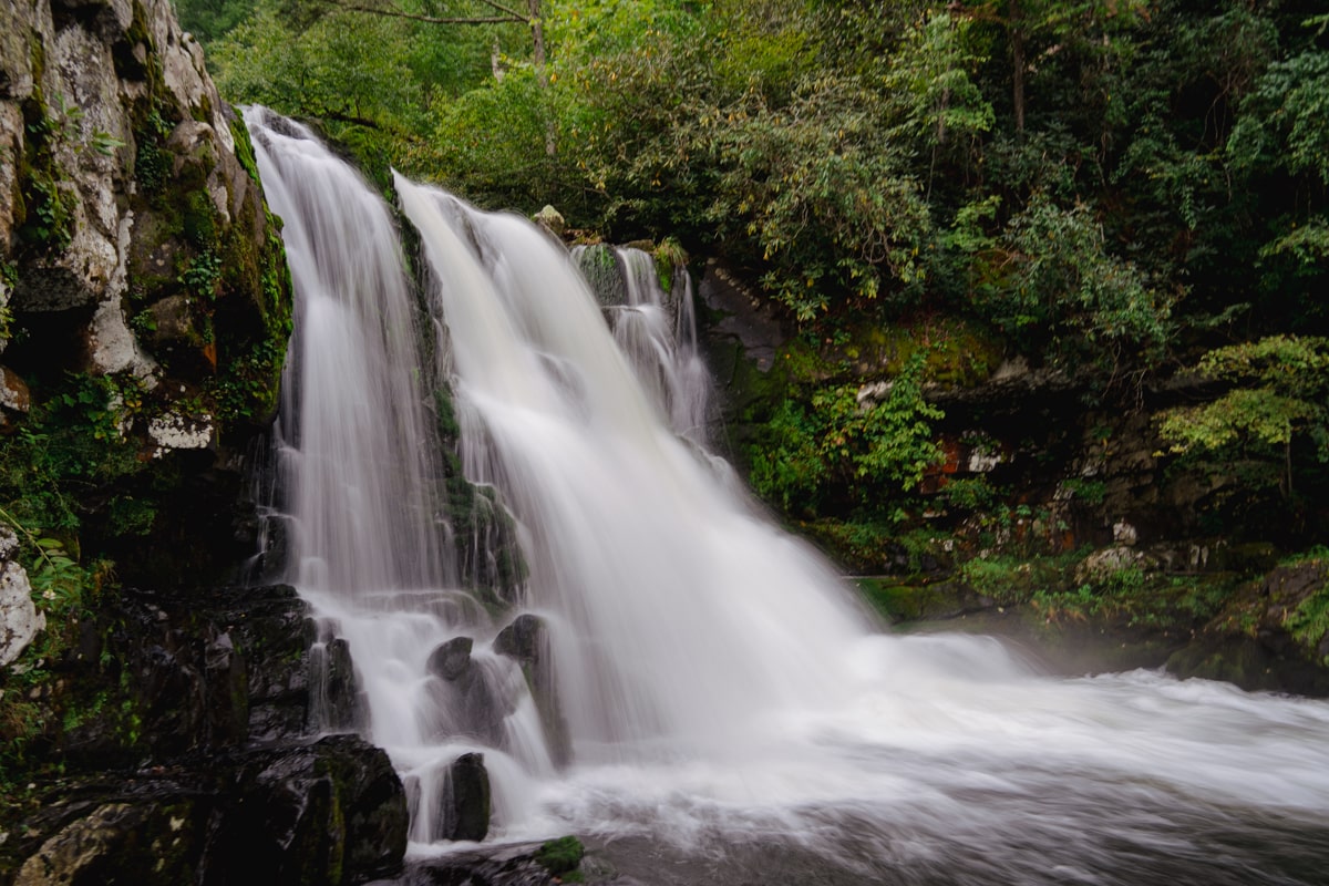 abrams falls with lush greenery at cades cove in the smoky mountains tn 