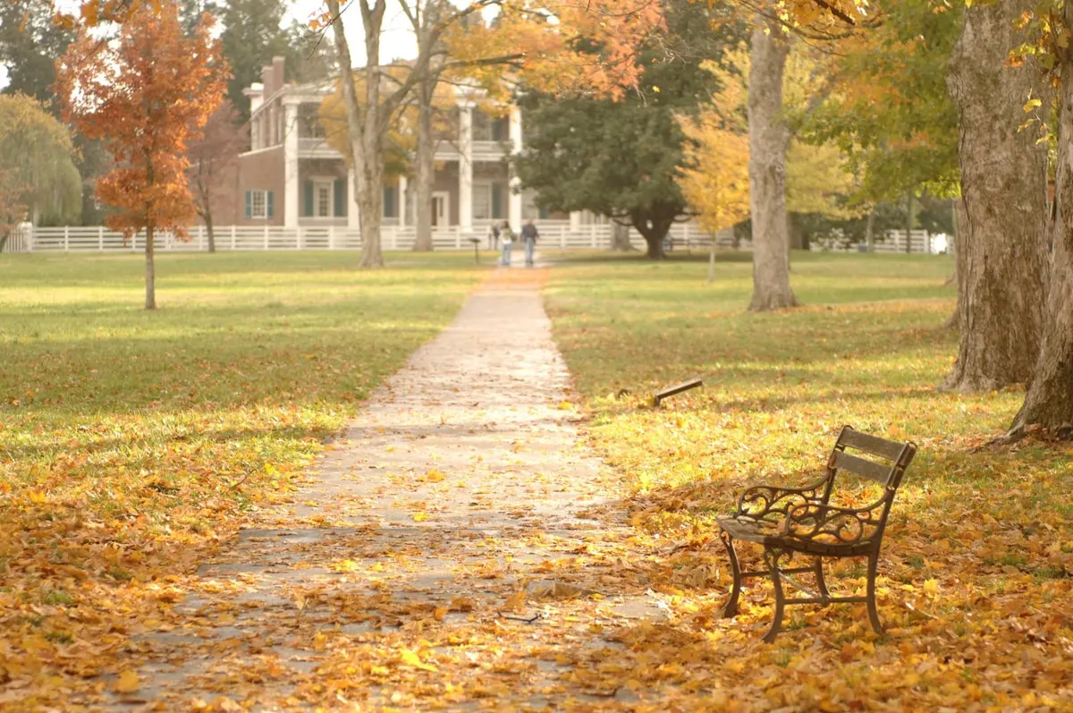 orange leaves on the ground and fall foliage at andrew jacksons hermitage estate in nashville tn in fall 