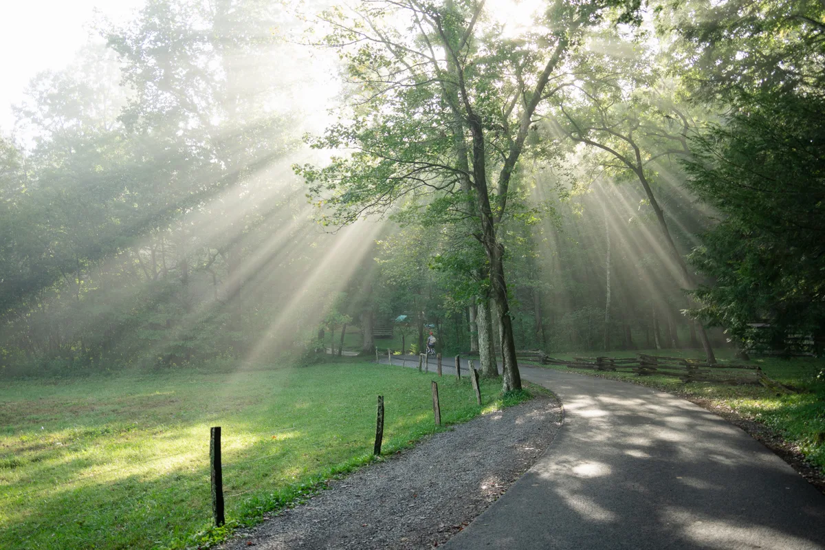 sun rays coming through the trees at cades cove loop in the smoky mountains of tennessee