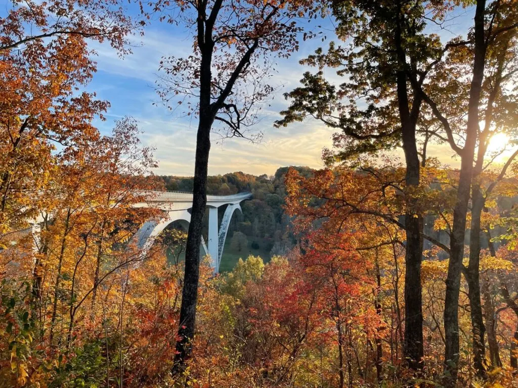 Natchez Trace Parkway during fall in Tennessee.