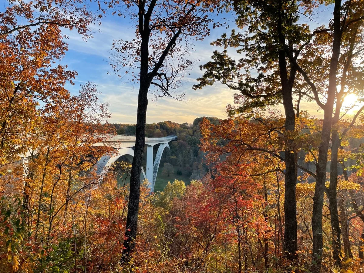 fall foliage near Nashville along the Natchez Trace Parkway