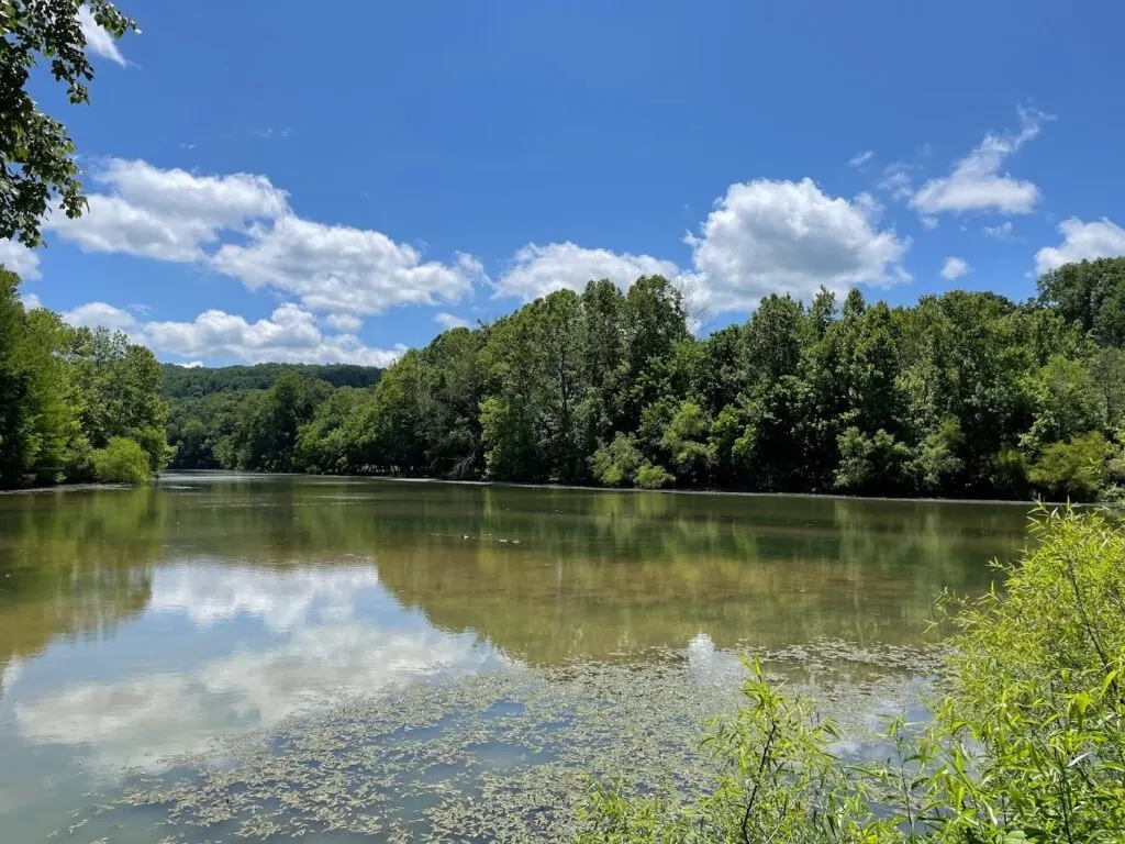 lake view with trees and blue skies at city lake natural area in cookeville tn 