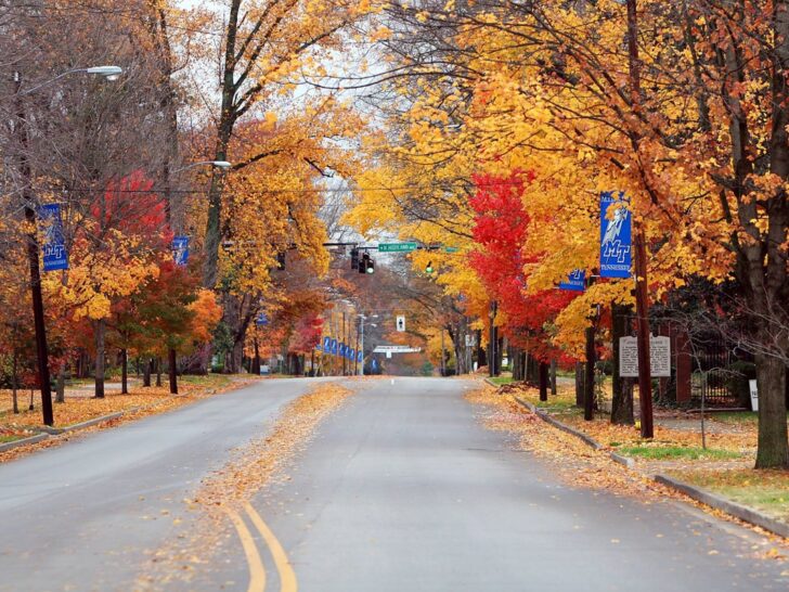 road driving through murfreesboro in fall with beautiful fall foliage and college banners