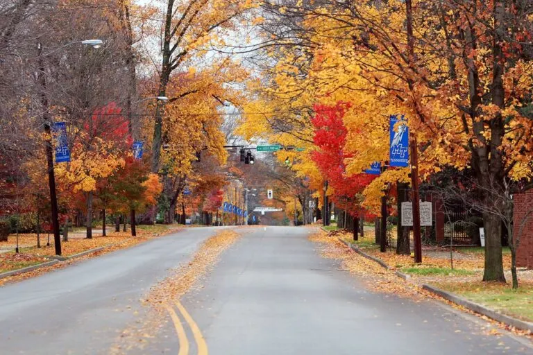 road driving through murfreesboro in fall with beautiful fall foliage and college banners