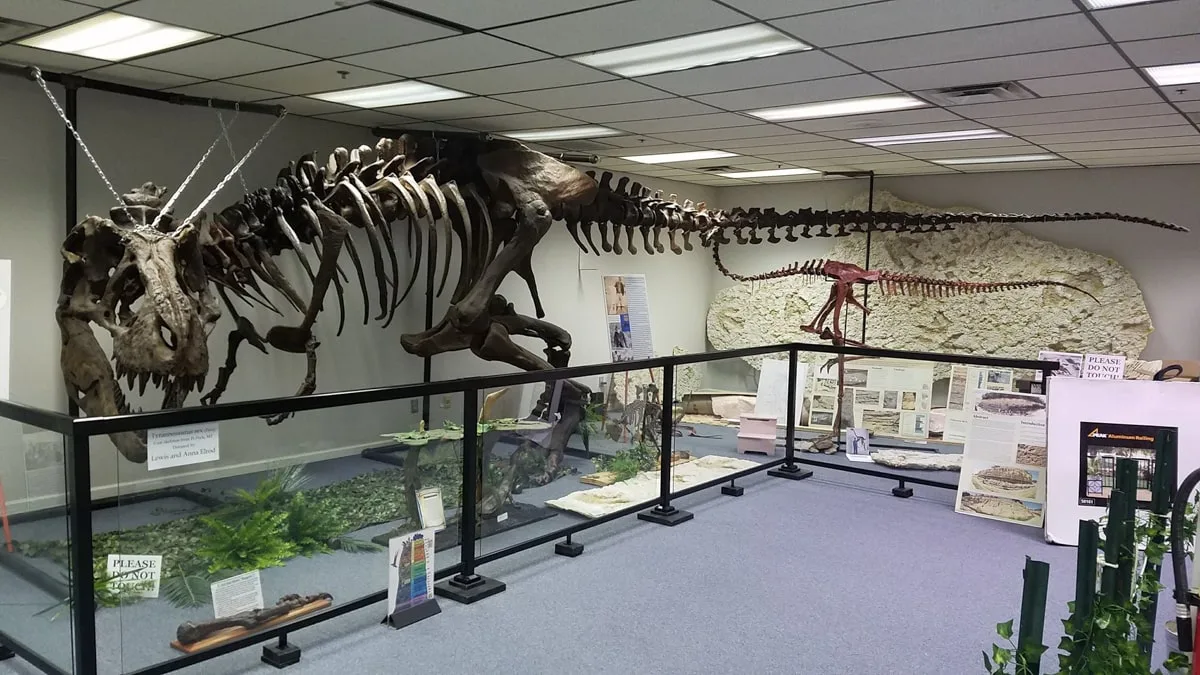 38-foot-long t.rex skeleton at earth experience middle tennessee museum of natural history