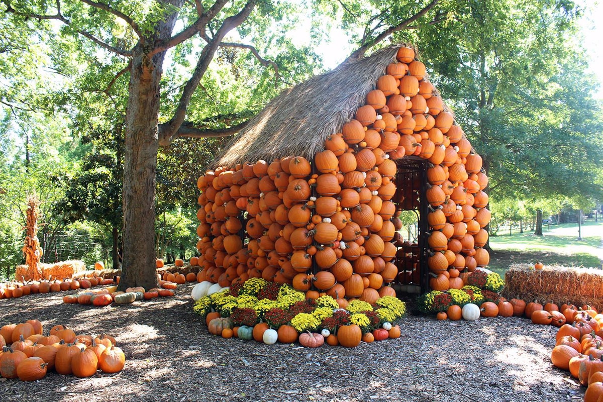 a house made of pumpkins at cheekwood estate and gardens in nashville in fall 
