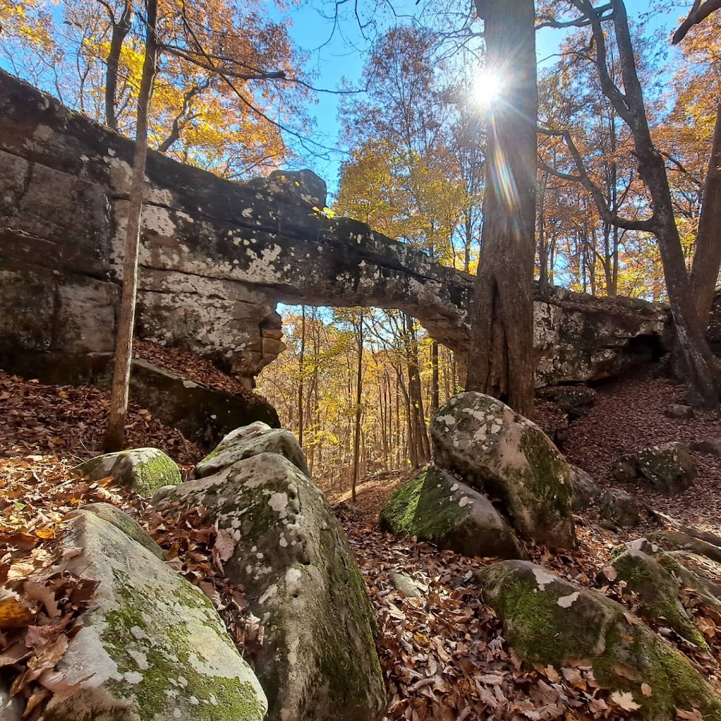 a natural bridge made of rock surrounded by golden trees in small town of tennessee called sewanee