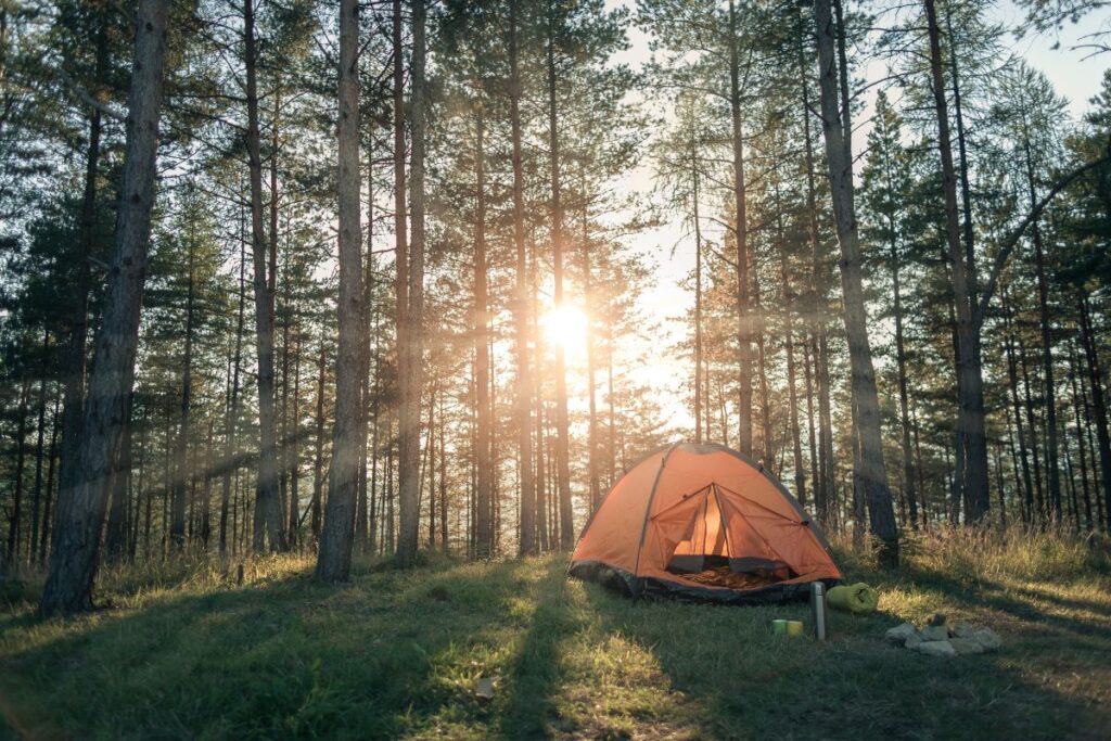 temt camping with sun shining through the trees