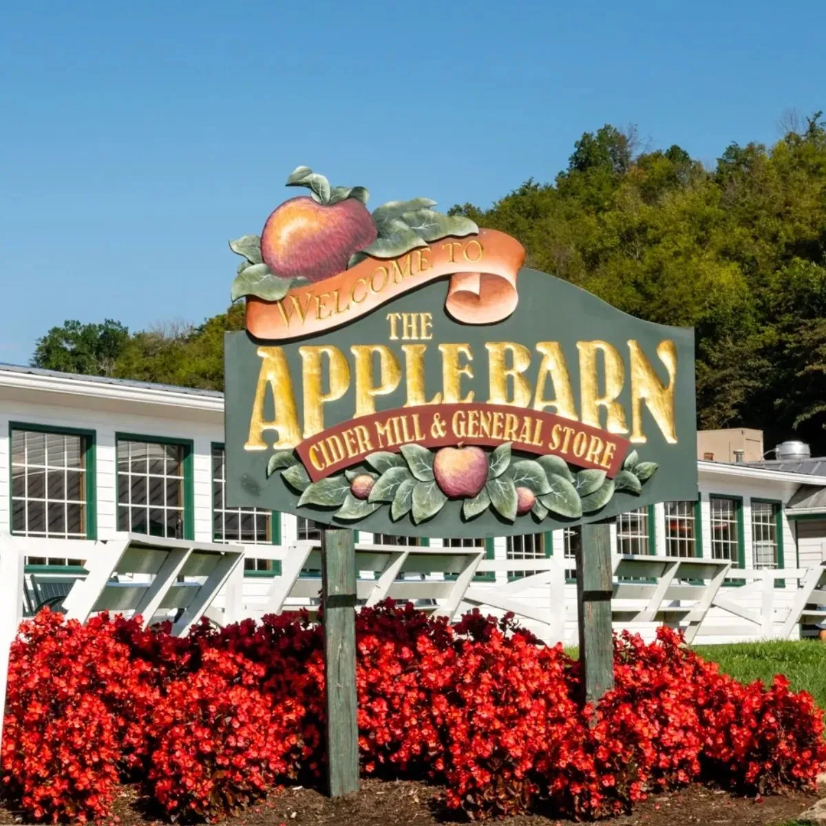 the apple barn cider mill and general store sign with red begonia flowers in sevierville tn 