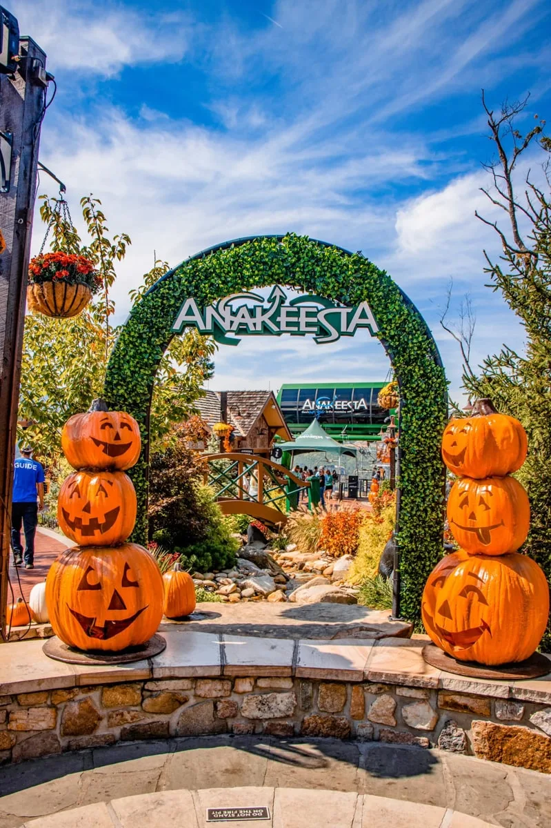 Anakeesta with pumpkins and Anakeesta sign in gatlinburg tn 