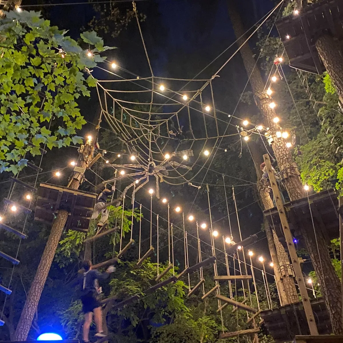 people climbing trees and ropes with a spider web for halloween at night at the adventure park in nashville tn 