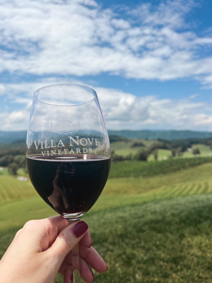 woman holding a glass of red wine at villa nove vineyards with mountains and vineyards in the background near the tri-cities