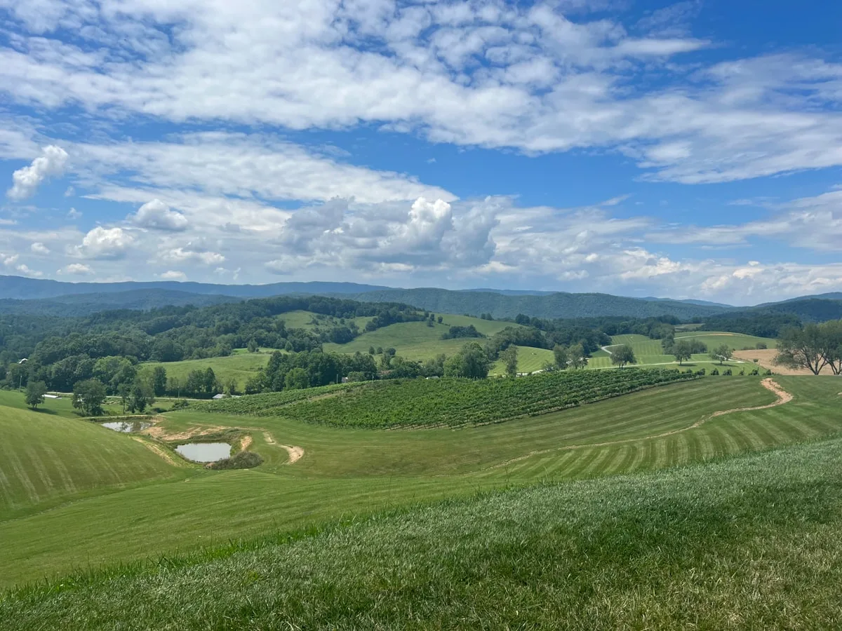 views with vineyards, blue skies, and mountains from villa nove vineyards in butler tn 