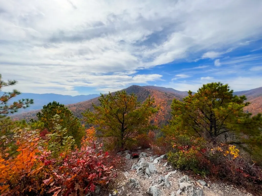 Fall foliage on Whitehouse Knob in Tennessee.