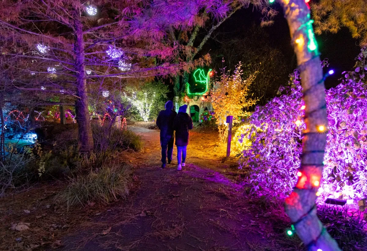 people walking through lighted trees and christmas lights at holiday wonder event at memphis botanic garden in winter