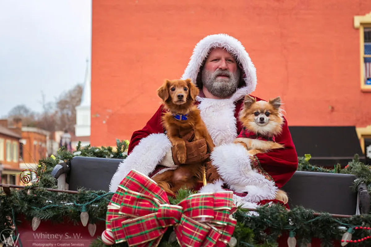 2017 Doggone Christmas with two dogs taking a picture with Santa in downtown jonesborough tn for Christmas in Tennessee
