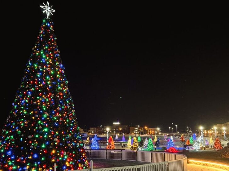 Large christmas tree in Johnson City with small lit up Christmas Trees in the background