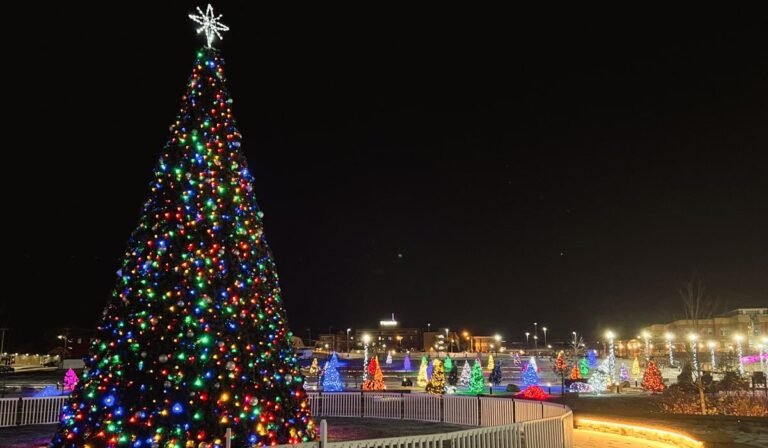 Large christmas tree in Johnson City with small lit up Christmas Trees in the background