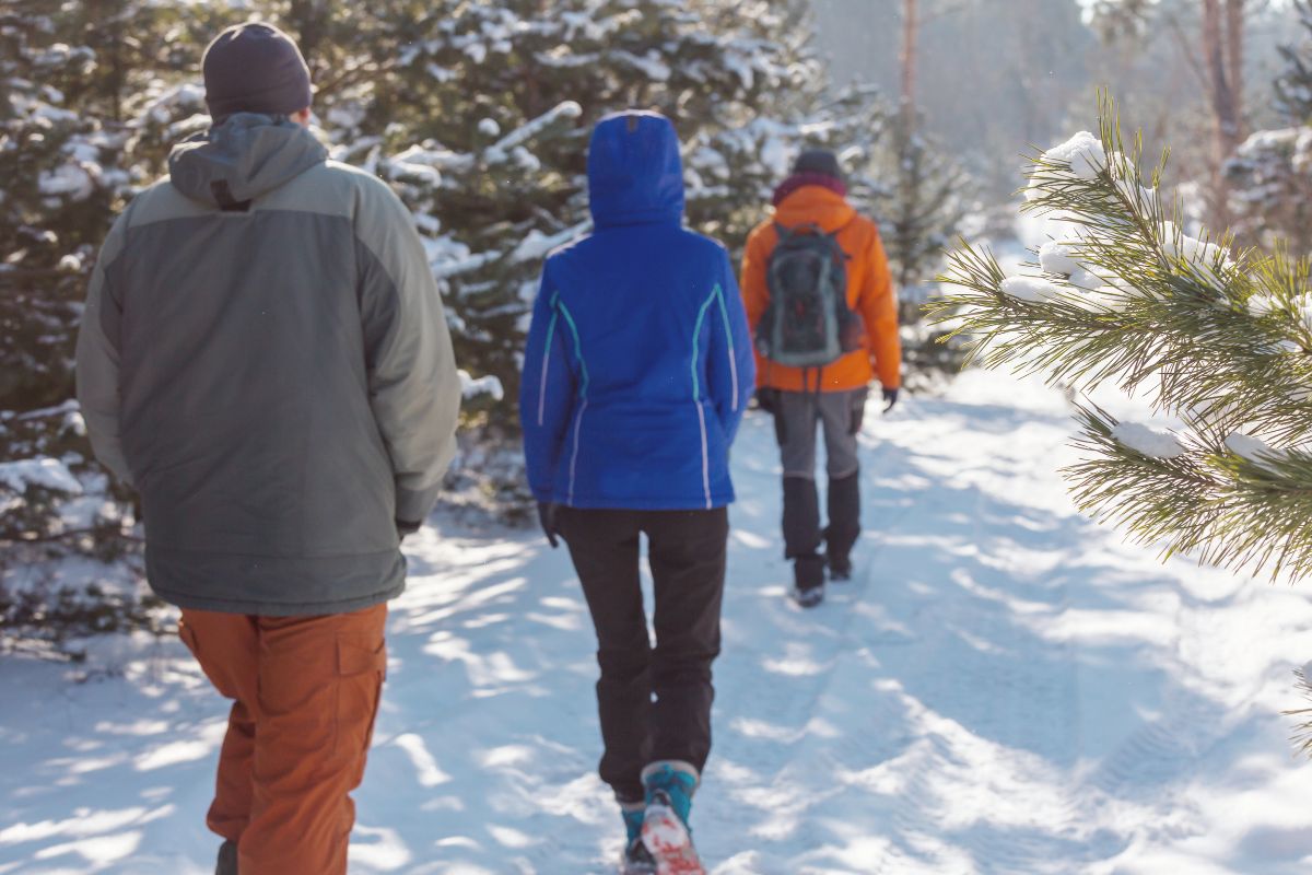 Three hikers hiking in snow during winter in Tennessee.