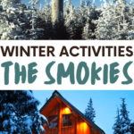 winter in the smoky mountains pinterest pin