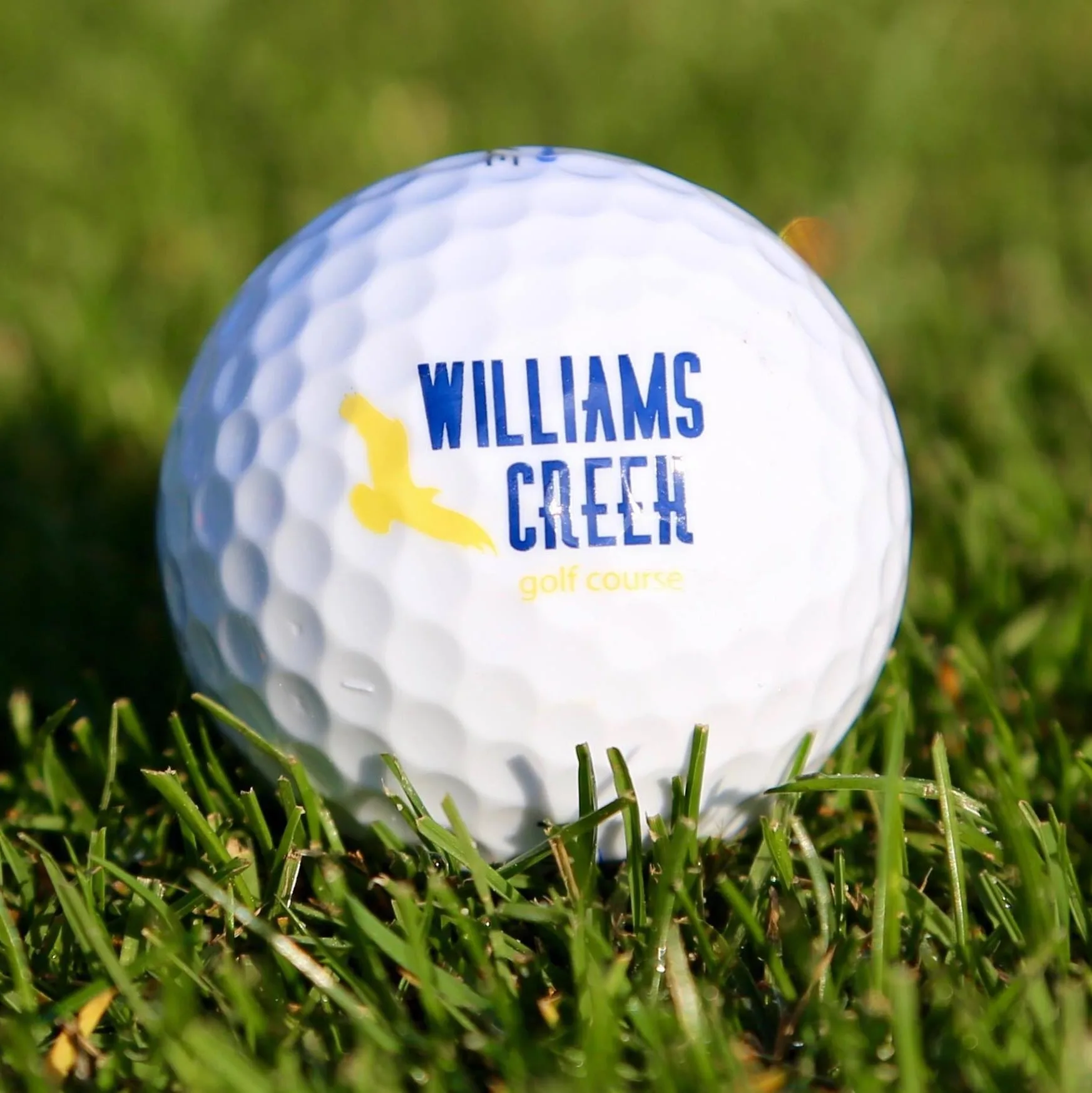 Williams Creek Golf Course golf ball 