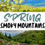 Spring in the Smoky Mountains Pinterest Pin