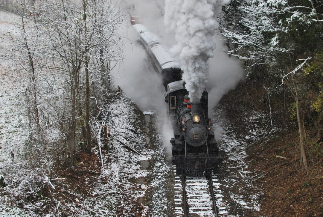 Off the Beaten Path: Unique Things to Do in Knoxville, TN