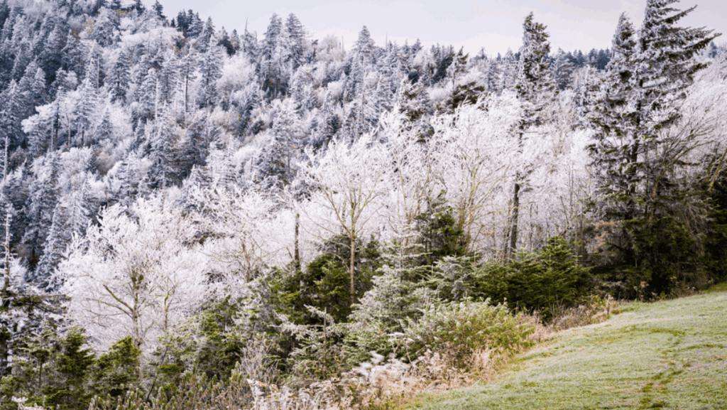 5 Tennessee Towns Expected to Be the Coldest This Winter