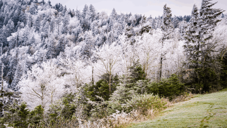 5 Tennessee Towns Expected to Be the Coldest This Winter