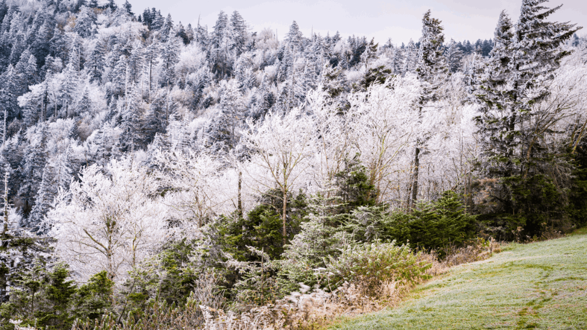 5 Tennessee Towns Expected to Be the Coldest This Winter