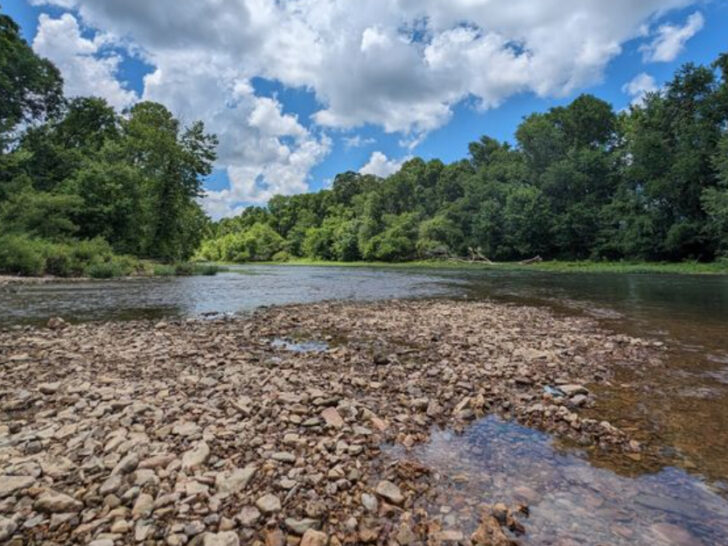 5 Tennessee Rivers and Creeks Where You Can Actually Find Fossils