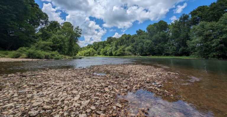 5 Tennessee Rivers and Creeks Where You Can Actually Find Fossils