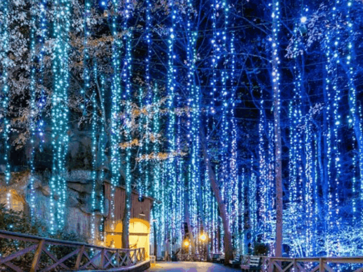 8 Tennessee Christmas Light Displays That Are Seriously Next-Level
