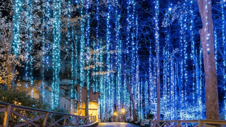 8 Tennessee Christmas Light Displays That Are Seriously Next-Level