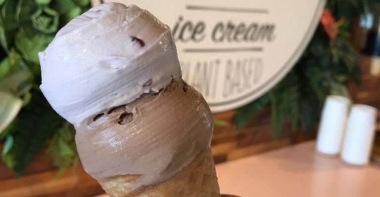 10 Best Dairy-Free Ice Cream Shops in Tennessee