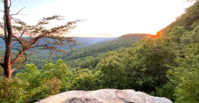 10 Peaceful Winter Hikes Near Knoxville for Crisp, Quiet Views