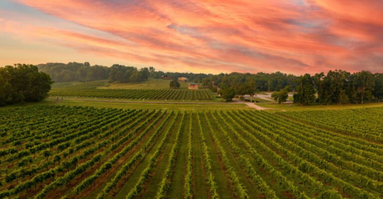 10 Tennessee Experiences That Feel Way More Expensive Than They Are