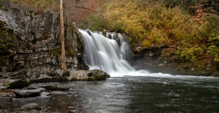 11 Best Tennessee Hikes for People Who Hate Hard Hikes