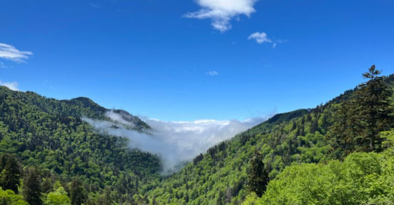 12 Stunning Places to Camp & Stargaze in Tennessee