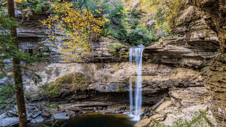 5 Quiet Tennessee Parks That Most Tourists Completely Miss