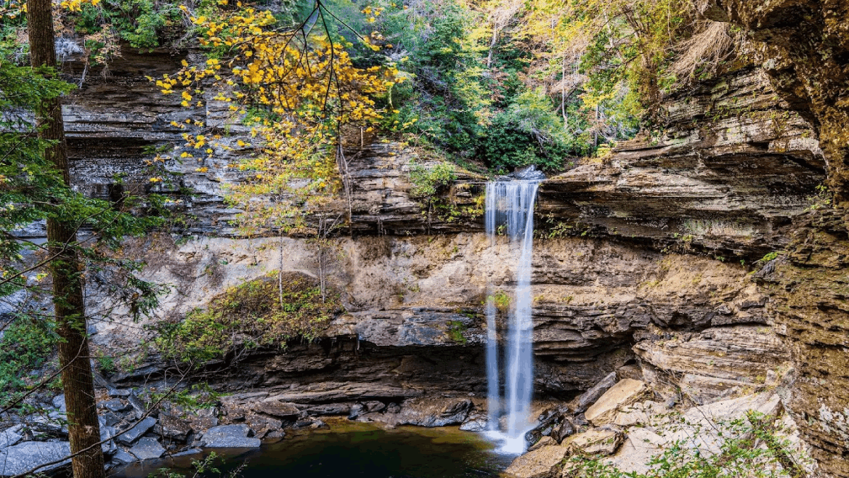 5 Quiet Tennessee Parks That Most Tourists Completely Miss