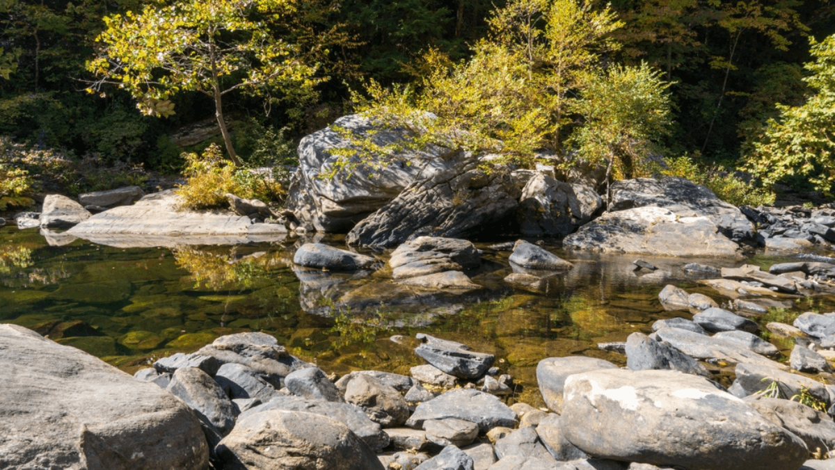 7 Scenic Tennessee Rivers That Will Make You Pull Over Mid-Drive