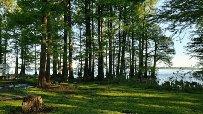 7 Whimsical Tennessee Getaways That Feel Straight Out of a Storybook