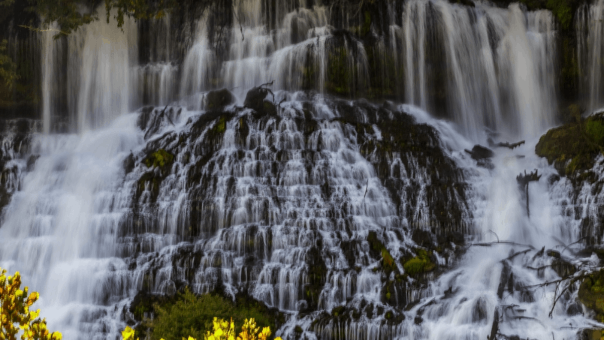 9 Things in Nature You Can Only Experience in Tennessee